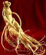 Panax Ginseng root