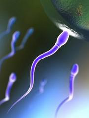کیفیت و قدرت باروری اسپرم